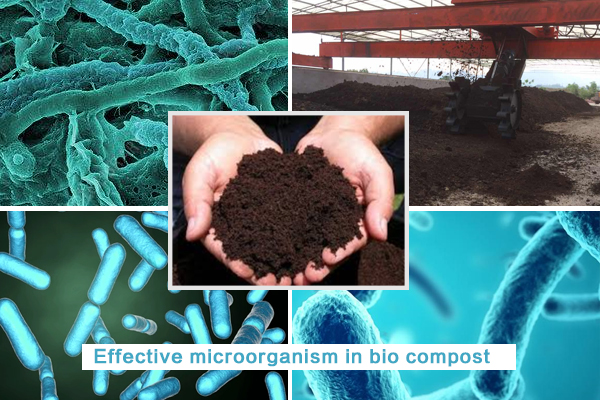 effective microorganism in biocompost